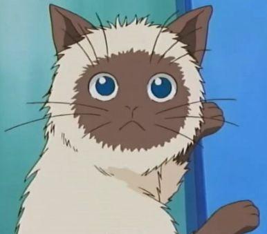 hachiwarenoneko's profile picture. 🍍🍍🍍
イニシャルJ。
通りすがりの銚子市民。
元競走馬の厩務員。
INFJ-T HSP気質
【好き】カメラ 写真 アクアリウム ドライブ
ねこ うさぎ好き。馬も好き。
Vtuberさん色々観てる🖊❄
オカルトすき。
🚗⸒⸒#zc83s📸#OM-5
🍍🍍🍍