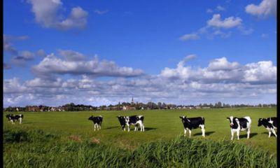 thesource75's profile picture. 