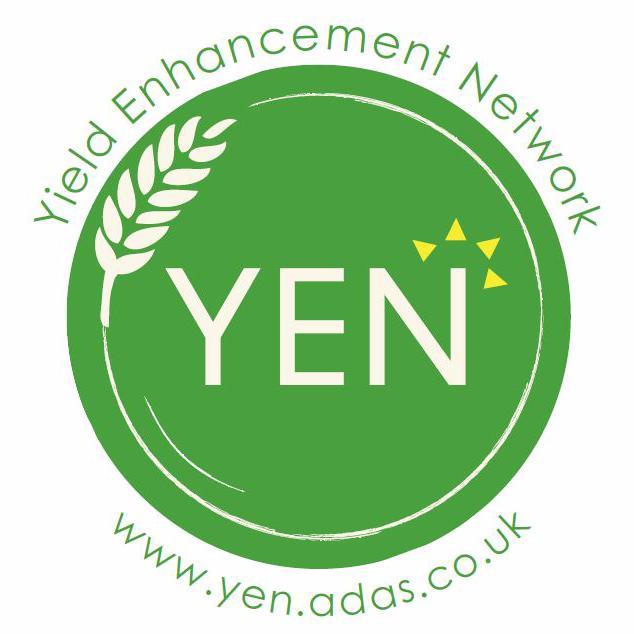 YEN - The Yield Enhancement Network