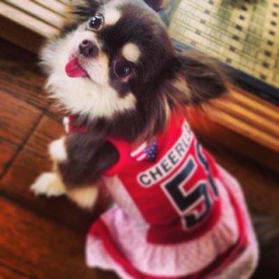 東海大、テニス