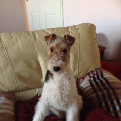 AlfredArkle's profile picture. Senior retired army officer but proceeding many years as a consultant Estates Manager in civil and prison service. Dislikes slang words used in written text.