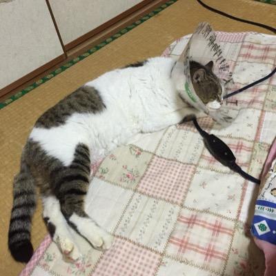 種子島で看護師だった人 今は沖縄にいます