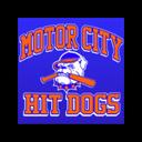 Chris Stout - @MCHitdogs13U - Twitter