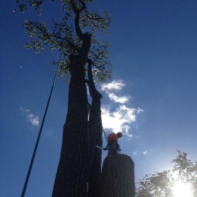 Apex Property Service LLC does all typs of tree work, landscaping, excavating, pavement services, & home improvements.