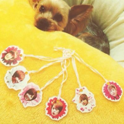 96(95) BOYFRIEND.이 9/23行きますよん