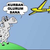 Defne Yılmaz (@dfn_ylmz) 's Twitter Profile