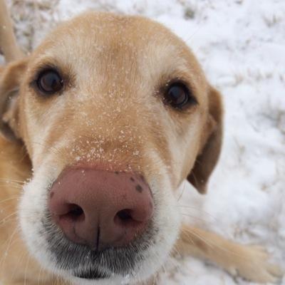 ezrdwny's profile picture. 