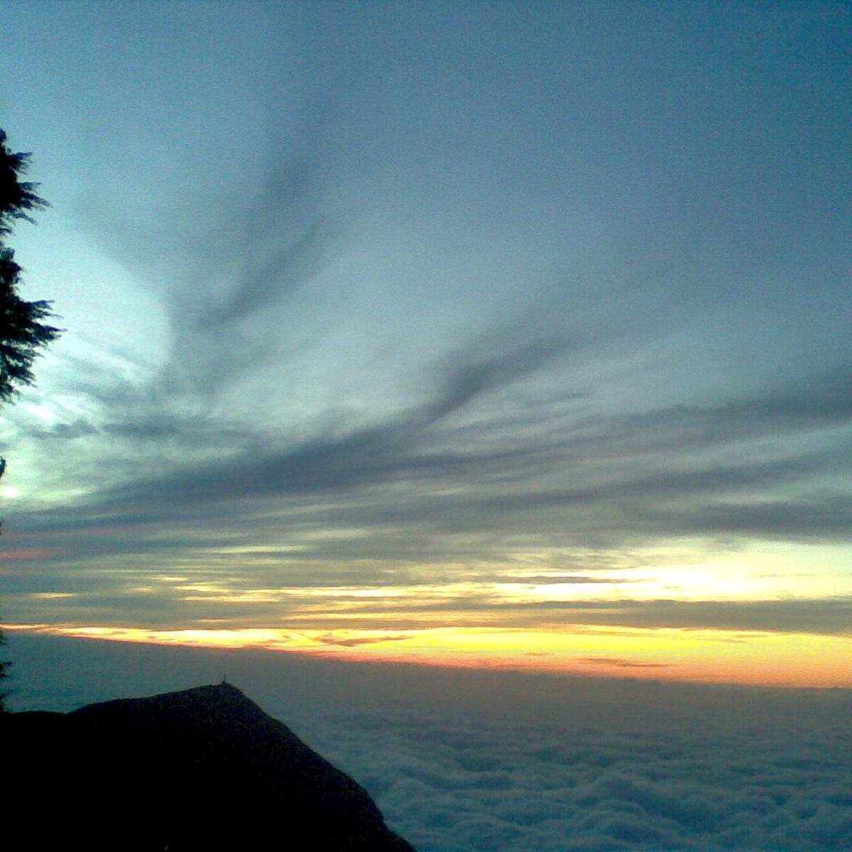 camiisbel's profile picture. 