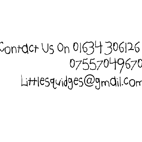 littlesquidges's profile picture. 