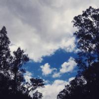 Reforma Iztaccihuatl (@r_iztaccihuatl) 's Twitter Profile