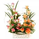 BIBI  CARTER - @carter_bibi - Twitter