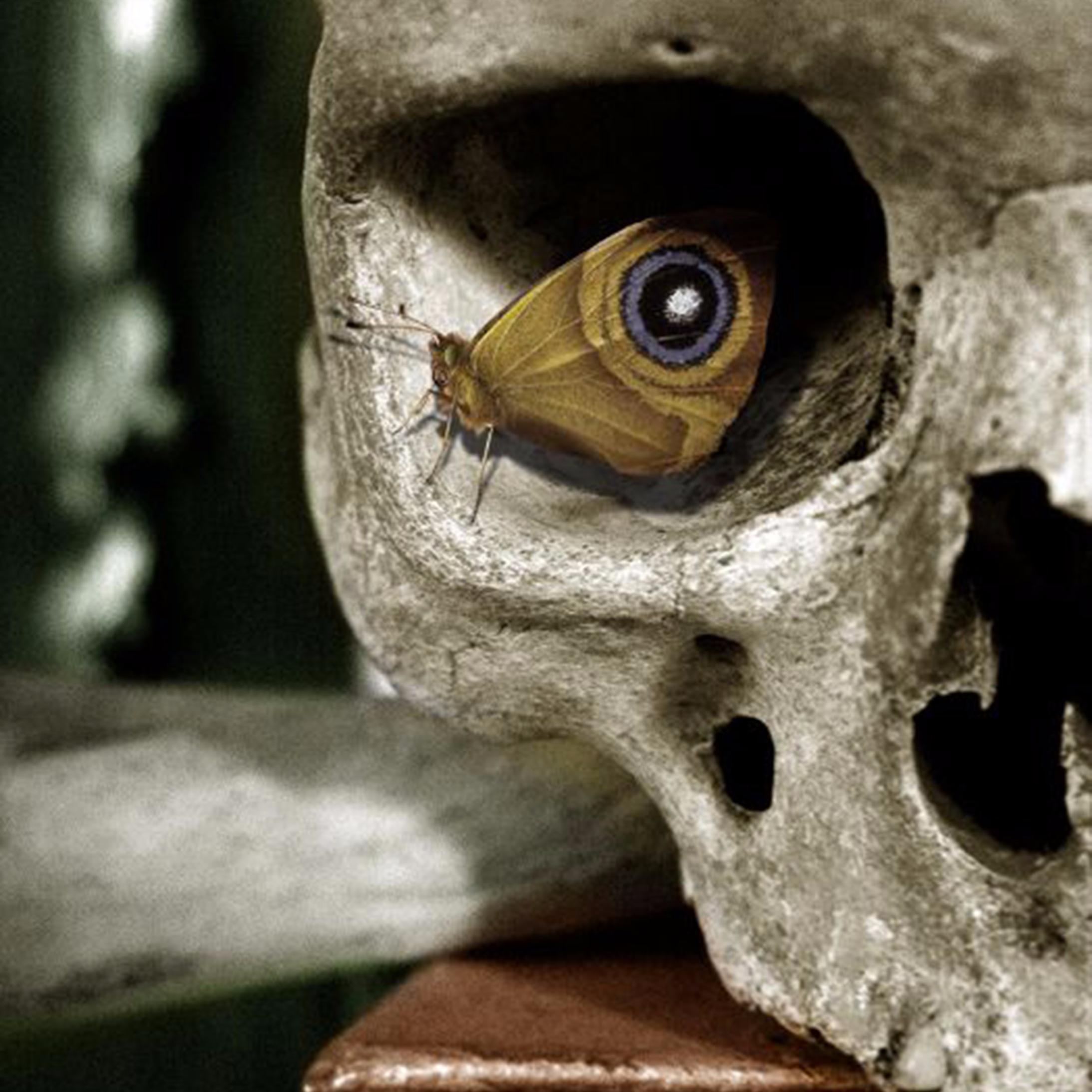 douglasperalta0's profile picture. 