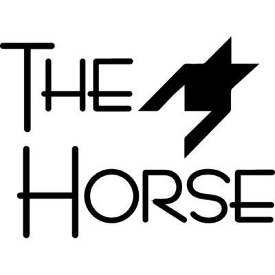 Custom embroidered and monogrammed saddle pads, bonnets, polo wraps, quarter sheets, and more!