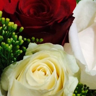 أقـدآرنـآ مگتـوبــه فَـلـنّعـش بهـدوء !! ونحمَـدُآللّـه ♡! يآرب آرزقني آجمل ممآ اتمنى ، وآكثر ممآ اتوقع وآفضل ممآ آدعوا ')” #عذراً لاأضيف صور النساء..