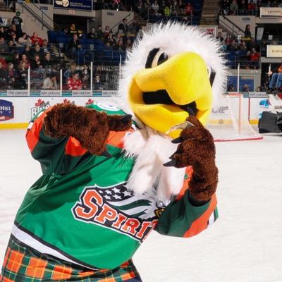 Professional Mascot of the Saginaw Spirit Hockey Club and dancing extraordinaire.