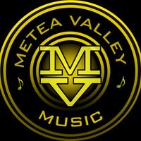 Metea Valley Music (@meteamusic) 's Twitter Profile