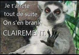 Obéissance à la loi !