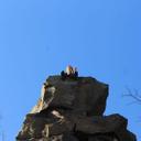 Katie Brinker - @Katiesb1195 - Twitter