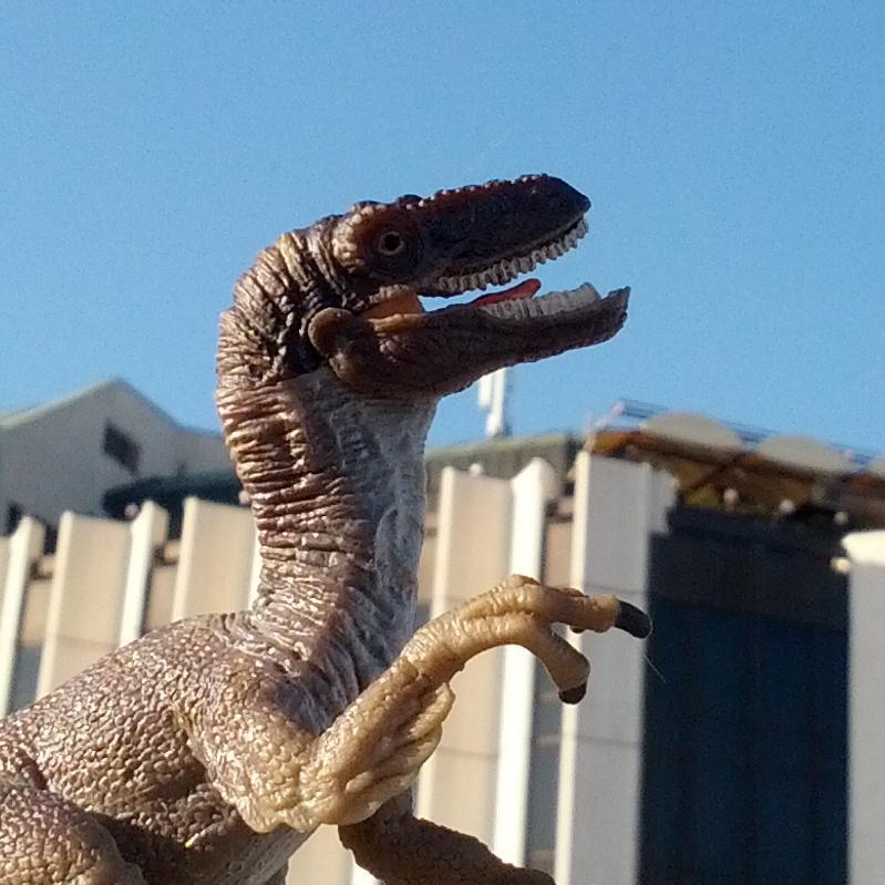 The dinosaur that embarked on a jorney to see the world. Formerly owned by @4karbon @vasvalch. He's a big boy now. Sotir travels!