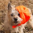 Brian Walter - @Brian__Walter - Twitter