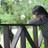 SallyRandang's profile image