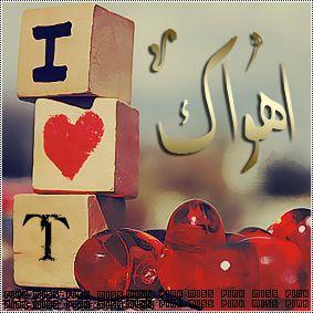 HMolhy4010's profile picture. ‏فيك الوفاءوالجود والحب مبداك فيك الماني المعاني والخصال الاصيله