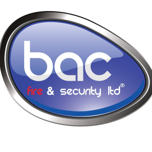 BacSalesupport's profile picture. 