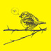 jenny robins (@jennyrobins) Twitter profile photo jenny robins (@jennyrobins) Twitter profile photo