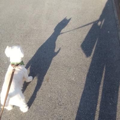 べーちゃん 🐾洗車好き🫧Coffeeも☕️