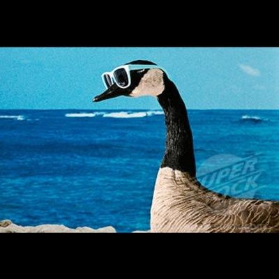 #ES_F #NQ_F , Stock Trader. My goal is financial freedom, happiness, and good health. The future is written today, not tomorrow #TheOrder ...