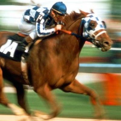 bobsizemore's profile picture. 