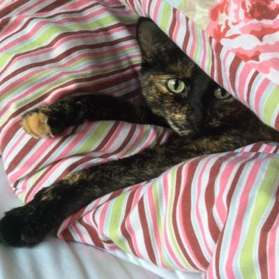 _quietlife's profile picture. 