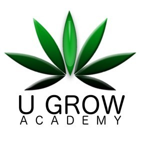 U GROW ACADEMY takes pride in presenting students a curriculum that is designed for people wanting to legally grow their own medical marijuana.