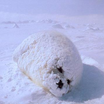 reggiemei's profile picture. 