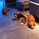 Cooper|Melvin|Lou - @CooperMelvinLou - Twitter