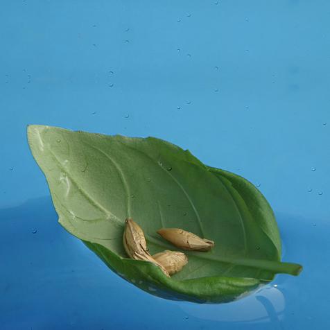 ELVFluvial's profile picture. Coopérative européenne de transporteurs fluviaux | Transport durable, fiable & fluide #Coop #Fluvial #RSE #Freycinet