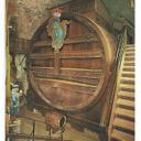 cameron downey - @camerondowney1 - Twitter