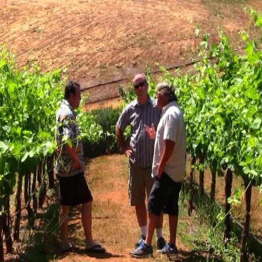 ExploringV's profile picture. Welcome to Exploring the Vines, a Winery & Brewery Travel Series created for YouTube and coming to you as a fun travel blog for California Beverage Travelers.