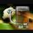 apaloseco2015's profile image