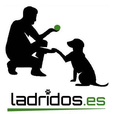 Tienda online El rincón de tu mascota!! Detalles y complementos para tu perro. Alimentación,collares ,correas ,camas ,transportines etc. 
http://t.co/gPtPrKrz0w