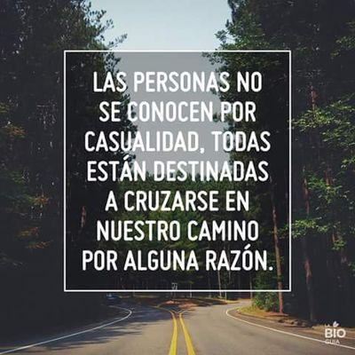 Abogado