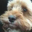 Blaine Murphy - @BlaineMurphy119 - Twitter