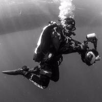 Den GC (@dengc_photos) 's Twitter Profile Photo