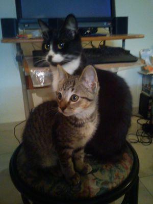 ofCirelli's profile picture. 