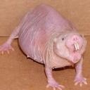 Stephen Ridgway - @ridgfiend - Twitter