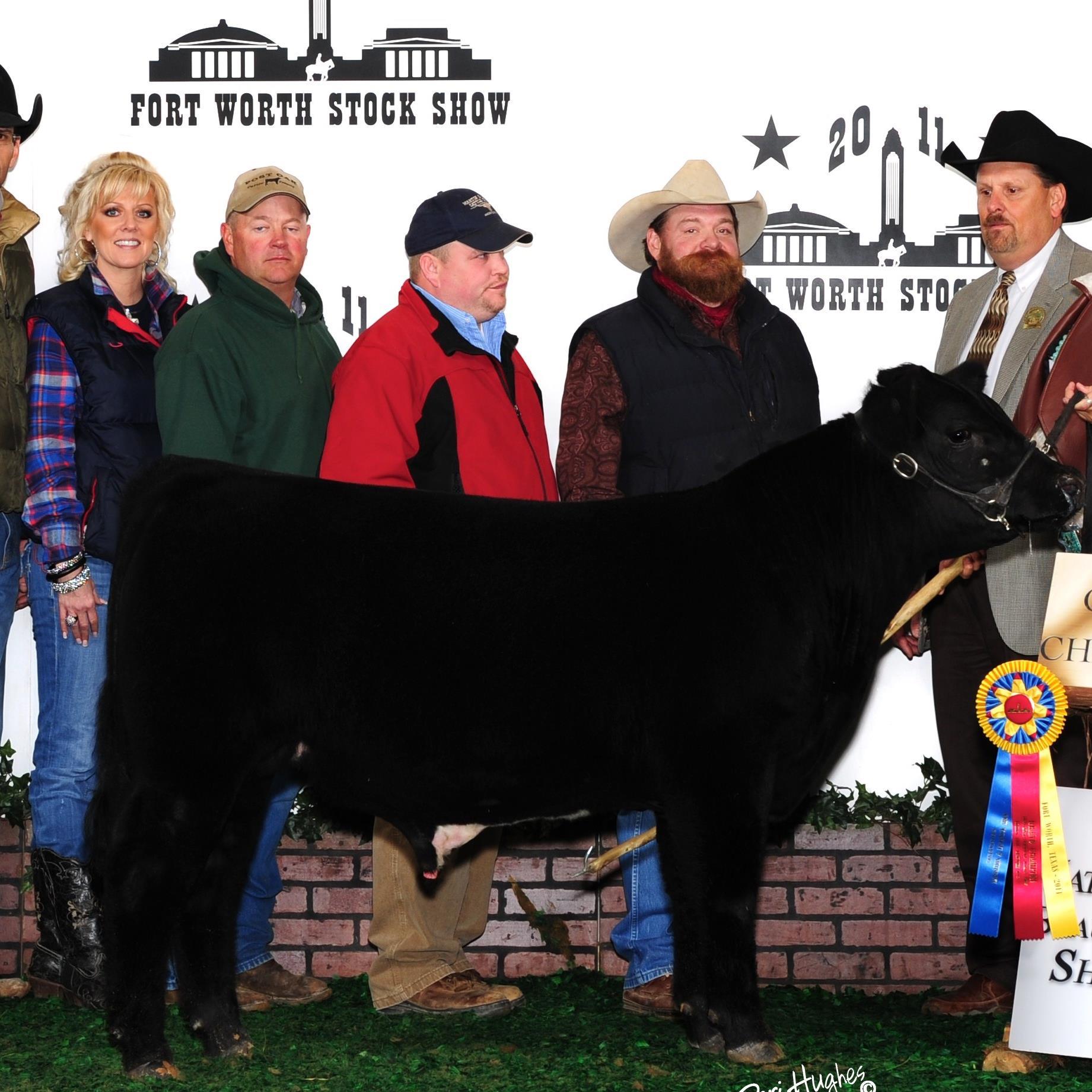 AllgoodCattleCo's profile picture. 