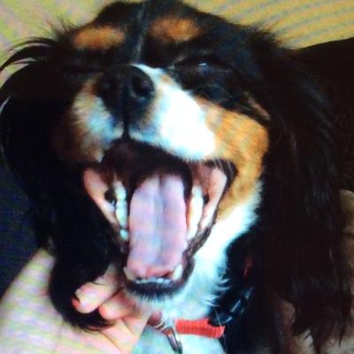 cerysgarner2002's profile picture. 