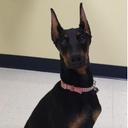 Erik Carroll - @epcgto - Twitter