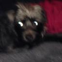 Jacob Hively - @JacobHively - Twitter