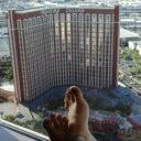 Connie Mcfarlane - @b86fc58d8b1c4e1 - Twitter